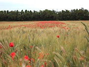 2008.05.17 Frankreich